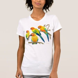 Sun Conure Parrots Scoop Neck Tee