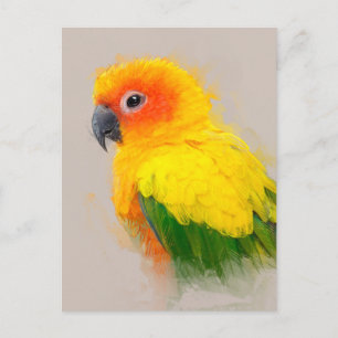 Sun Conure Portrait 001 Postcard