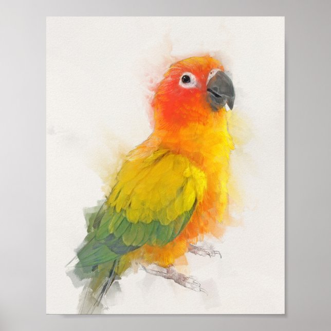 Sun Conure Portrait Poster (Front)