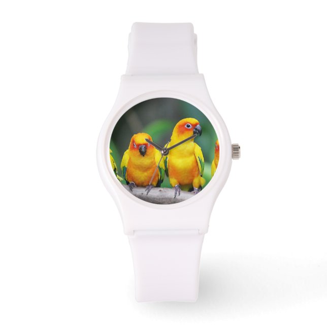 Sun Conures Watch (Front)