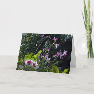 Sun Dappled Orchids Card
