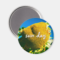 Sun Day Quote Script Yellow Sunflower Photo