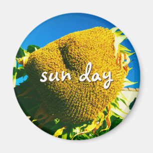 Sun Day Quote Script Yellow Sunflower Photo Magnet
