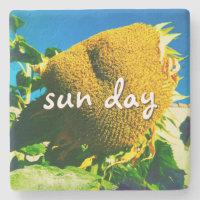 Sun Day Quote Script Yellow Sunflower Photo