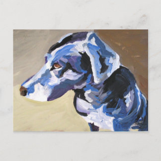 sun dog profile Postcards