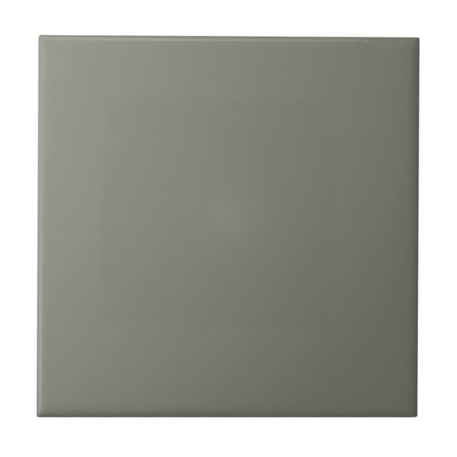 Sun Dried Thyme Green Kitchen and Bathroom Ceramic Tile (Front)