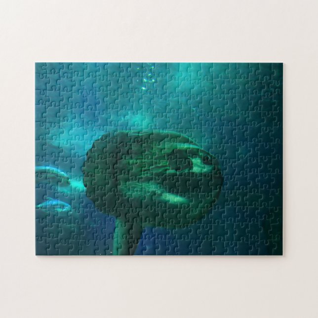 Sun Fish. Jigsaw Puzzle (Horizontal)