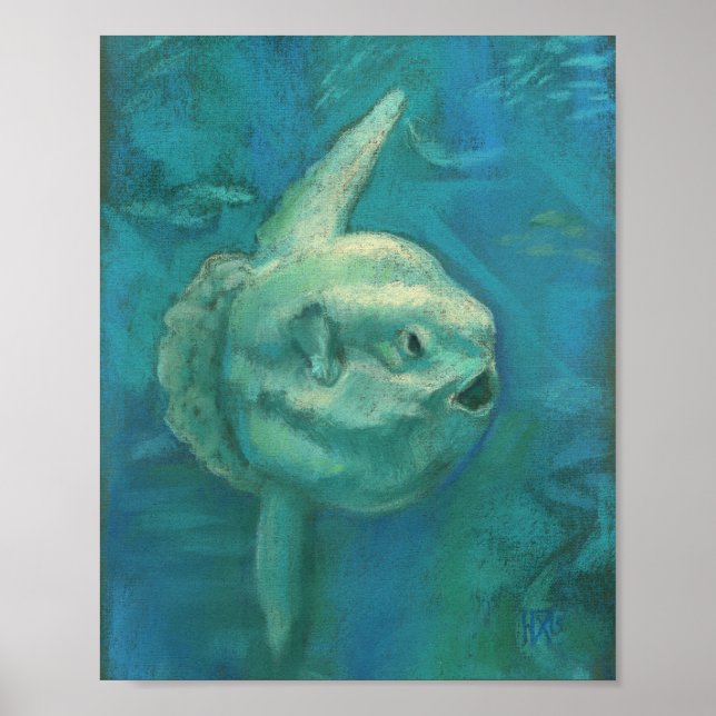 Sun Fish, Mola Mola Ocean Underwater Animals Art P Poster (Front)