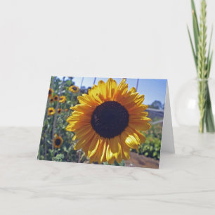SUN flower Card