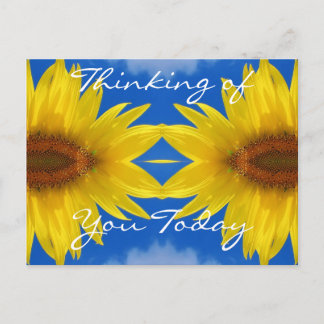 Sun Flower Postcard