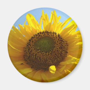 SUN FLOWERS SUNFLOWER MAGNET MAGNETS Gifts