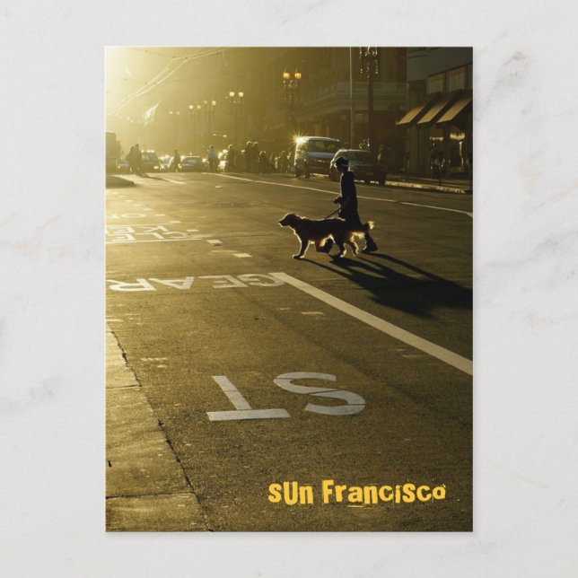 SUN Francisco - 10 Postcard (Front)