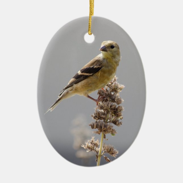 Sun Gilded Goldfinch Ceramic Ornament (Front)