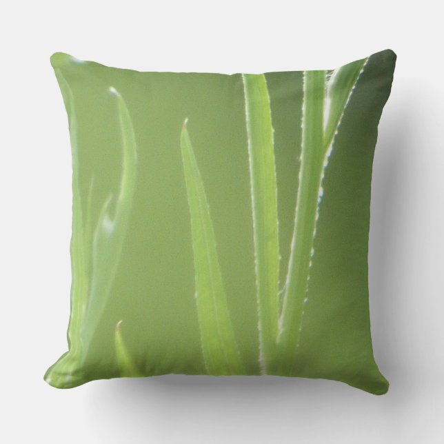Sun Glowing Flower Stalks Throw Pillow (Front)