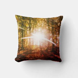 Sun in the autumn forest cushion