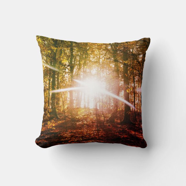 Sun in  the autumn forest cushion (Front)