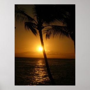 Sun in the trees, going down poster