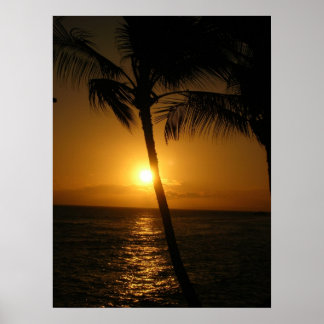 Sun in the trees, going down poster