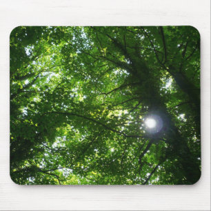 Sun in the Trees Mouse Pad