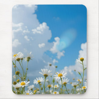 Sun-Kissed Petals Mouse Pad