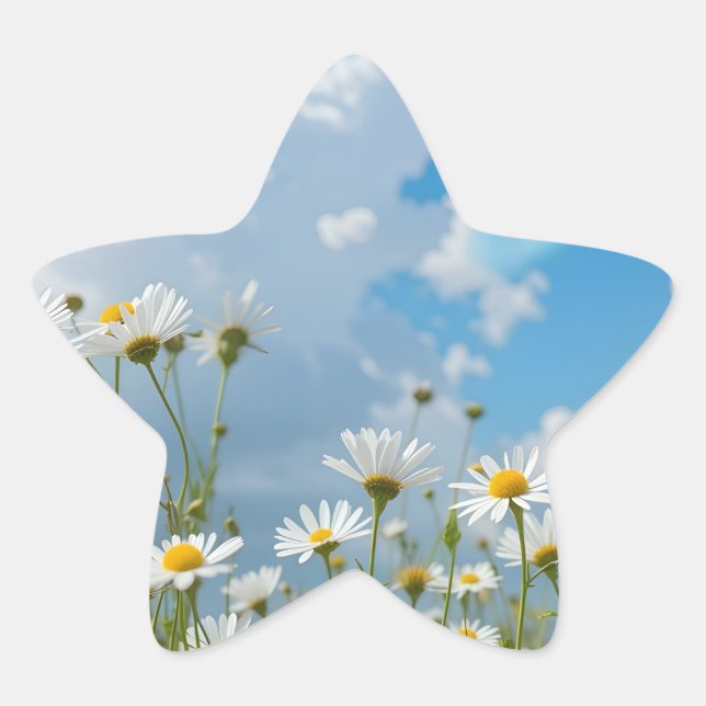 Sun-Kissed Petals Star Sticker (Front)