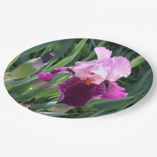Sun-kissed Pink Magenta Iris Garden Paper Plate