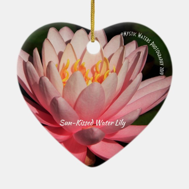 Sun-Kissed Water Lily 2 Ceramic Ornament (Back)