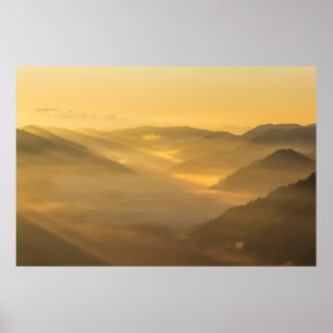Sun light shining on morning fog poster