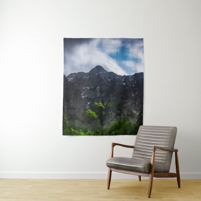 Sun lit green forest beneath the mountains tapestry (In Situ)