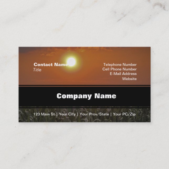 Sun Over a Corn Field Business Card (Front)