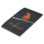 Sun Parakeet (Aratinga solstitialis) iPad Air Cover (Side)