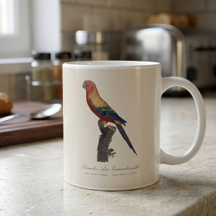 Sun Parakeet Male, Aratinga Solstitialis Coffee Mug