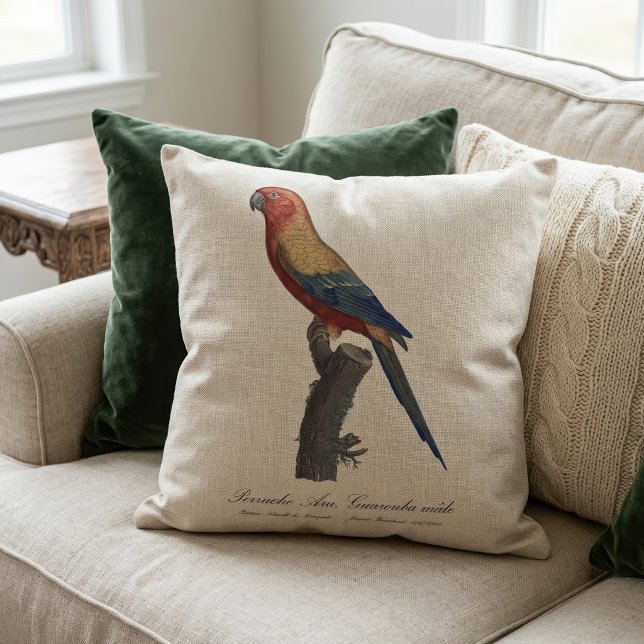 Sun Parakeet Male, Aratinga Solstitialis Cushion (Sun Parakeet Male, Aratinga Solstitialis. Throw Pillow)
