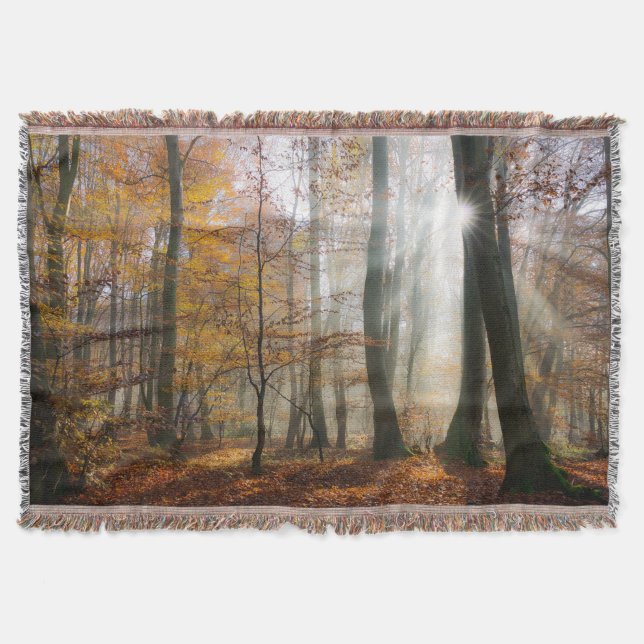 Sun Rays Mystic Misty Forest Blanket (Front)