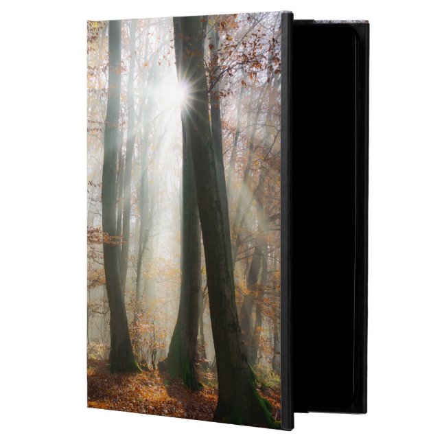 Sun Rays Mystic Misty Forest, hardcase Powis iPad Air 2 Case (Front)