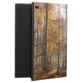 Sun Rays Mystic Misty Forest, hardcase Powis iPad Air 2 Case (Back)
