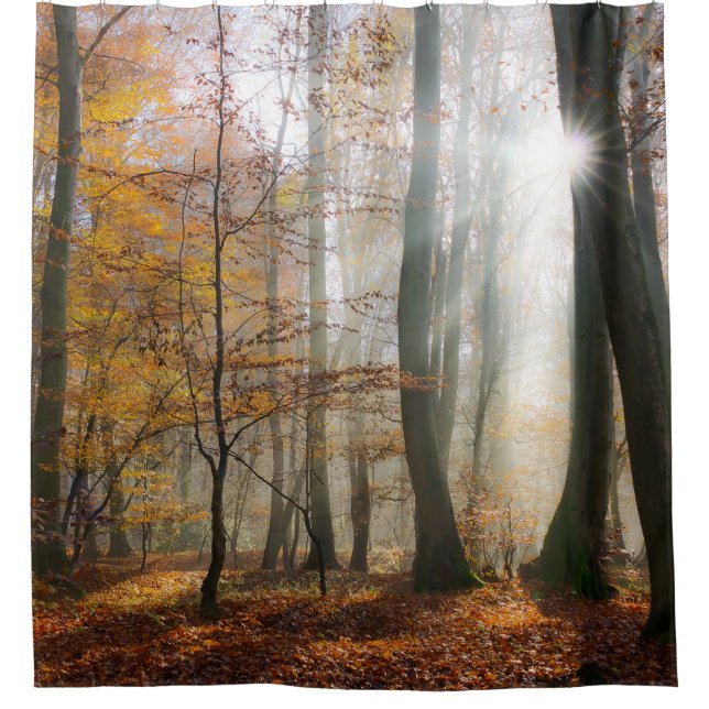 Sun Rays Mystic Misty Forest Shower Curtain (Front)