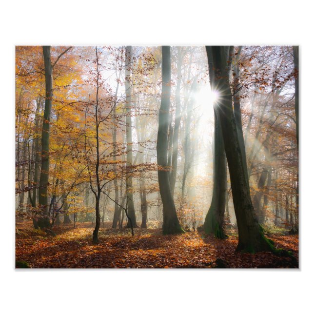 Sun Rays Mystic Misty Scenic Forest - Paperprint Photo Print (Front)