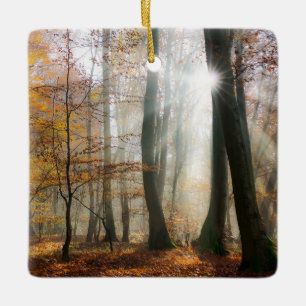 Sun Rays Mystic Misty Scenic Forest - porcelain Ceramic Tree Decoration