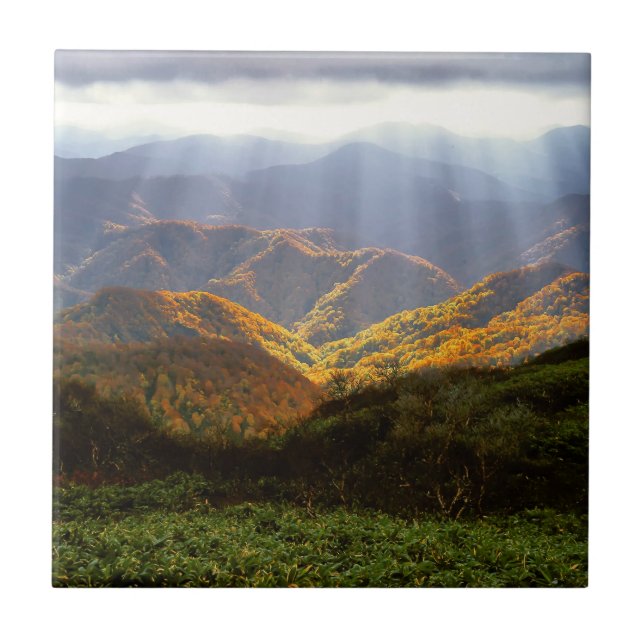 Sun Rays Over Shirakami-Sanchi Mountains Ceramic Tile (Front)