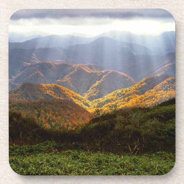 Sun Rays Over Shirakami-Sanchi Mountains Coaster (Front)