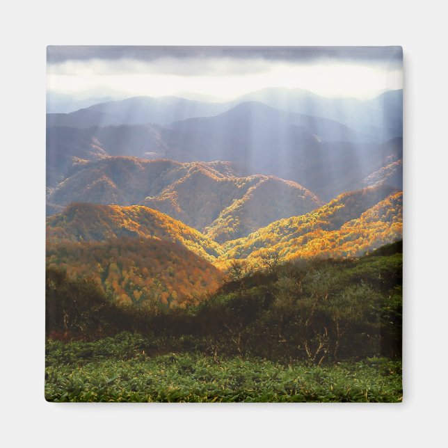Sun Rays Over Shirakami-Sanchi Mountains Magnet (Front)