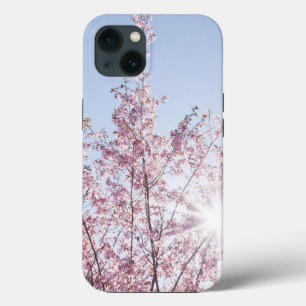 sun rays pass through pink flowers of a wow tree iPhone 13 case