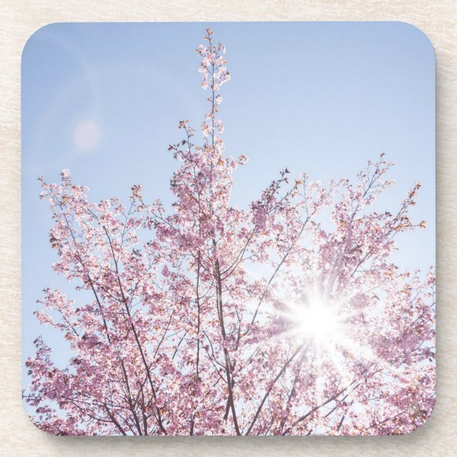 sun rays pass through pink flowers of a wow tree coaster (Front)