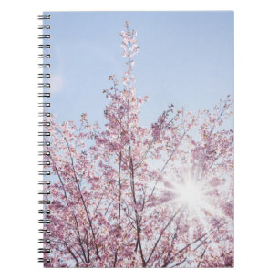 sun rays pass through pink flowers of a wow tree notebook