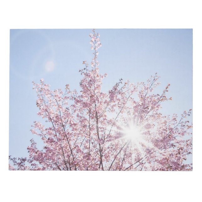 sun rays pass through pink flowers of a wow tree notepad (Front)