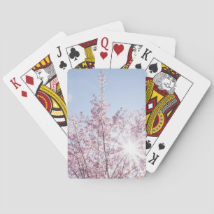sun rays pass through pink flowers of a wow tree playing cards