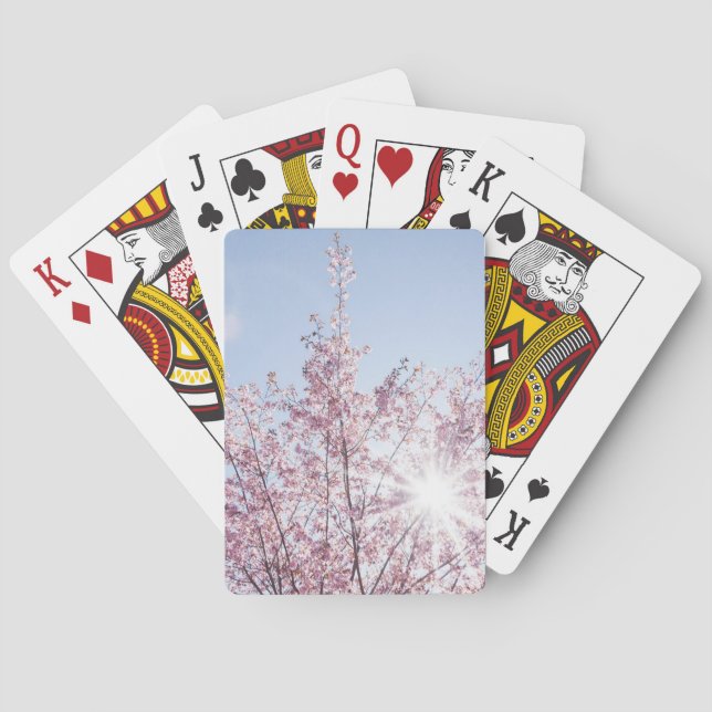 sun rays pass through pink flowers of a wow tree playing cards (Back)