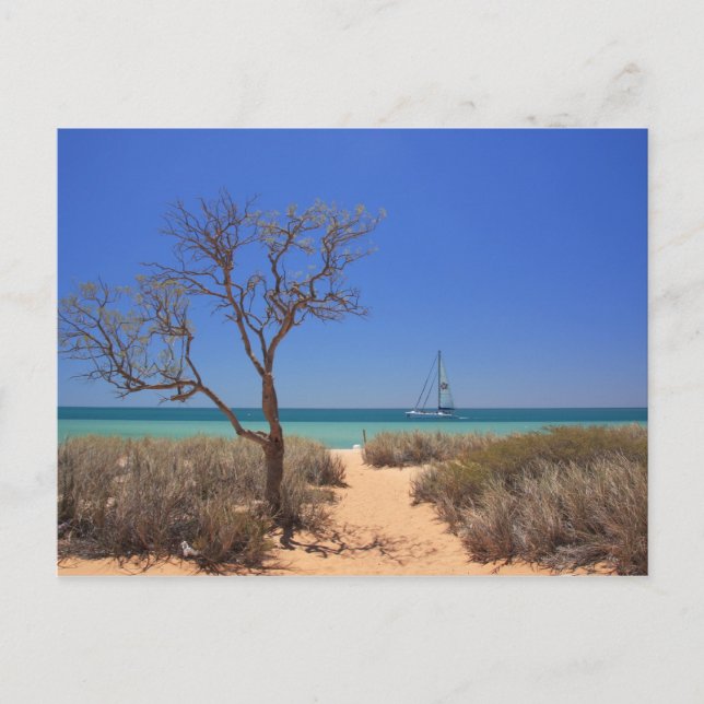 Sun, Sea, Sand - Monkey Mia Western Australia Postcard (Front)