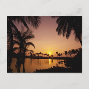 Sun setting on Anaeho'omalu Bay, Big Island, Postcard